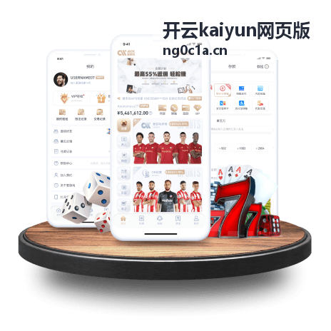 开云kaiyun网页版账户与安全支持登录验证示意