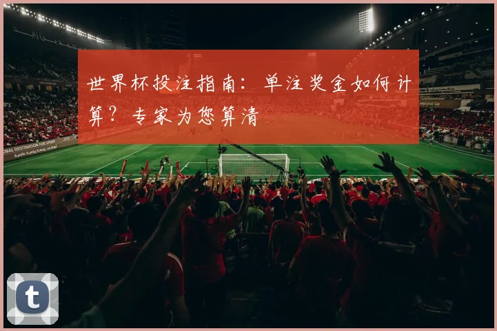 世界杯投注指南：单注奖金如何计算？专家为您算清