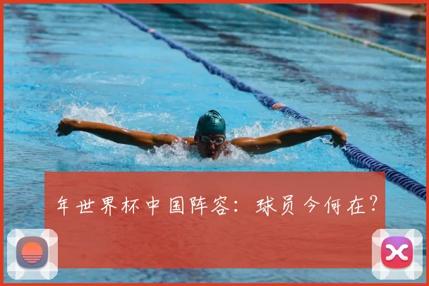 年世界杯中国阵容：球员今何在？