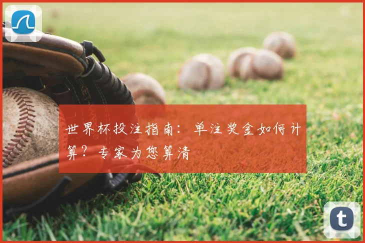 世界杯投注指南：单注奖金如何计算？专家为您算清