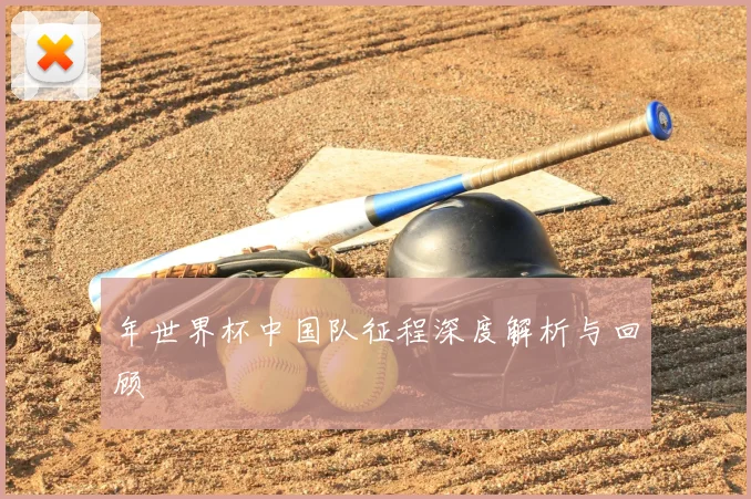 年世界杯中国队征程深度解析与回顾