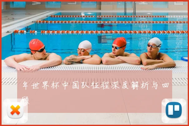 年世界杯中国队征程深度解析与回顾