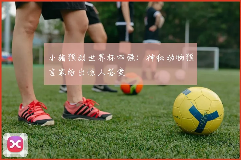 小猪预测世界杯四强：神秘动物预言家给出惊人答案