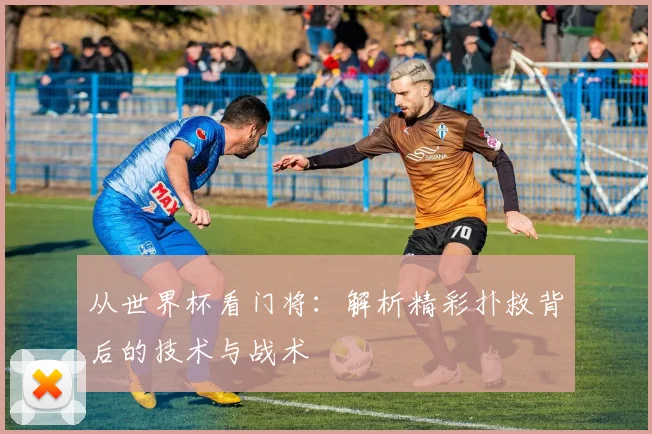 从世界杯看门将：解析精彩扑救背后的技术与战术