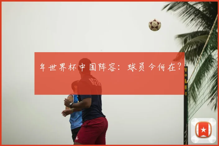 年世界杯中国阵容：球员今何在？
