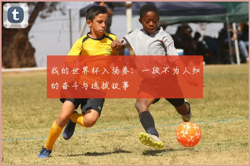我的世界杯入场券：一段不为人知的奋斗与选拔故事