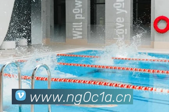 星空网网页版入口平台生态图