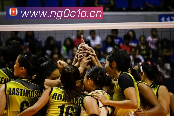 星空网网页版入口APP 封面图